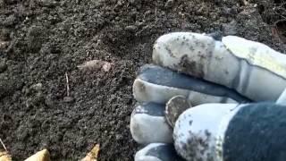 Metal Detecting Wisconsin With The Minelab CTX 3030 Season 3 Episode 16